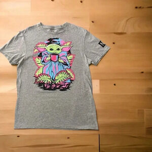 NEFF Star Wars Yoda The Mandalorian Gray T-Shirt Size M/M